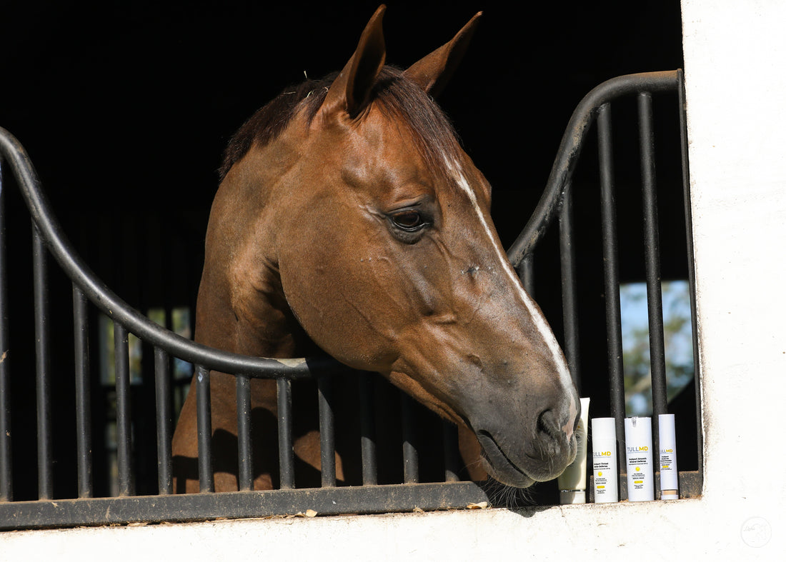 Skin Cancer Awareness Month: Our Mission to Protect the Equestrian Community