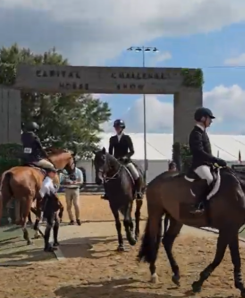Tull MD at the Capital Challenge Horse Show: Two Weeks of Connection, Care, and Community